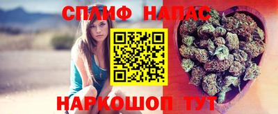 гидра Мариинск