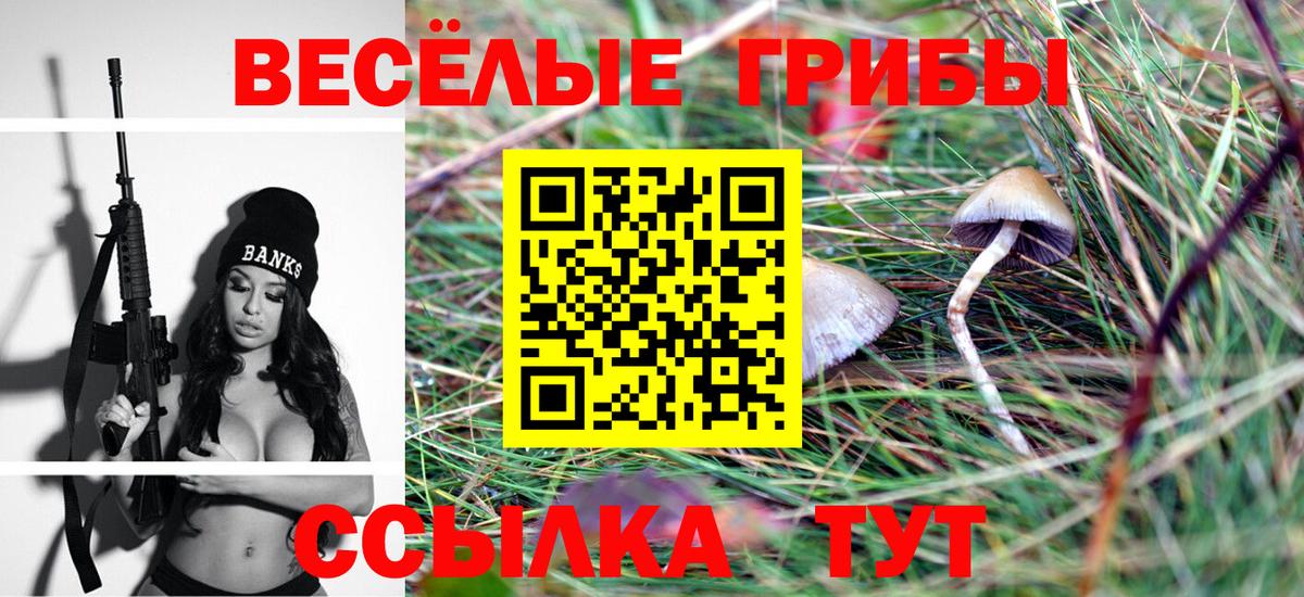 Псилоцибиновые грибы GOLDEN TEACHER Армавир